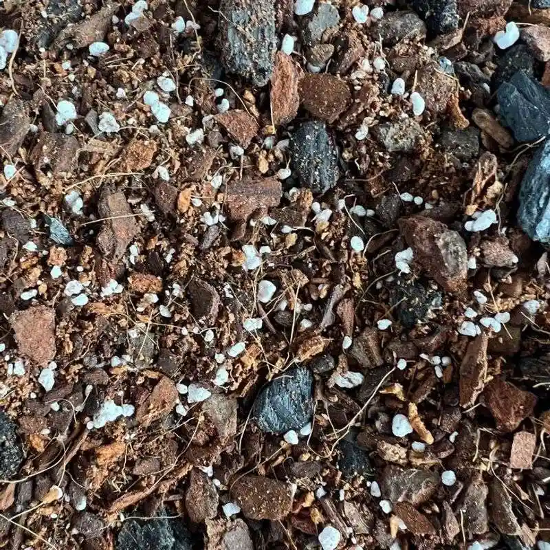 Charcoal and Soil Mix