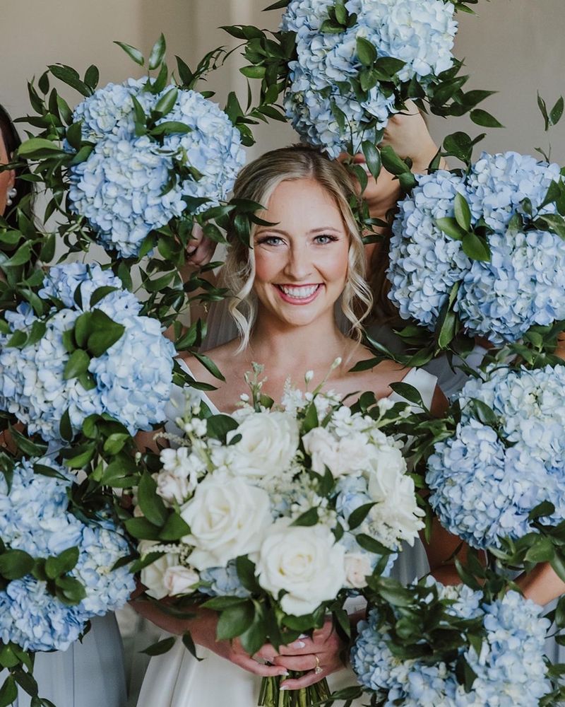 Hydrangea