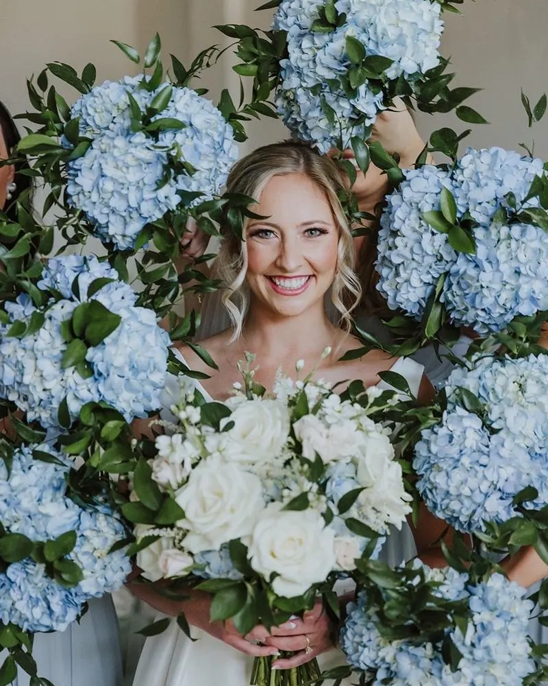 Hydrangea
