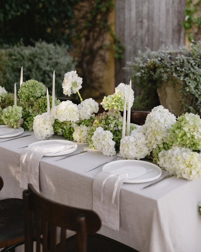Hydrangea