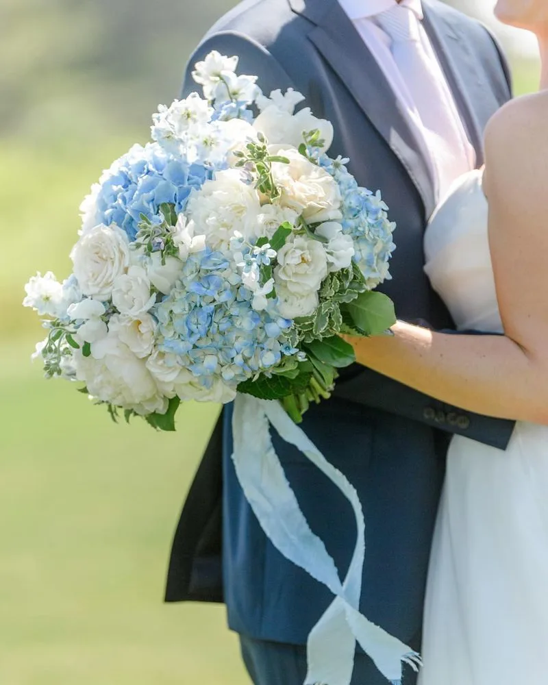 Hydrangeas