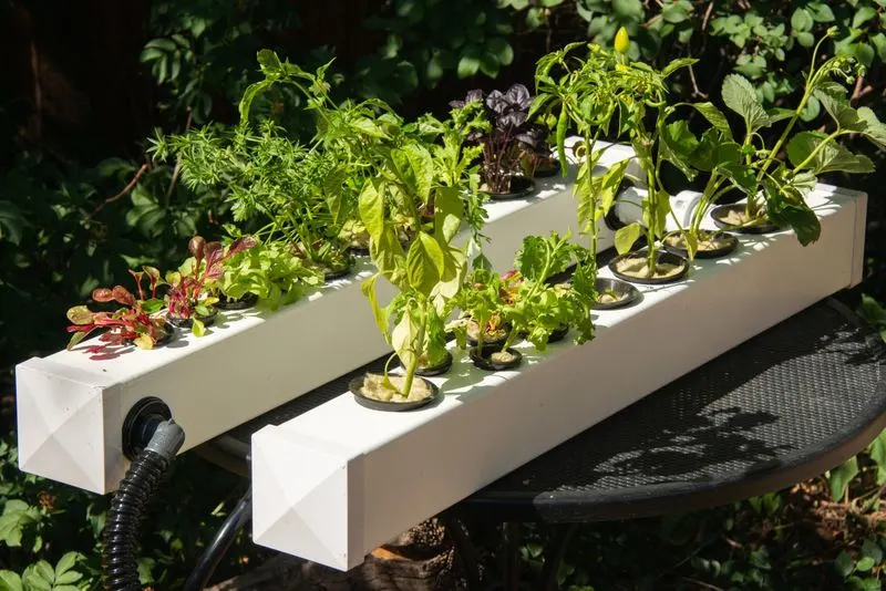 Hydroponic Home Systems