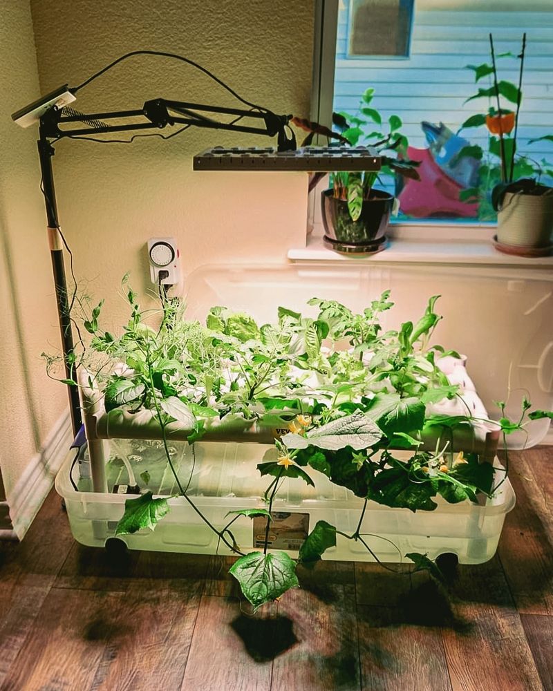 Hydroponic Systems