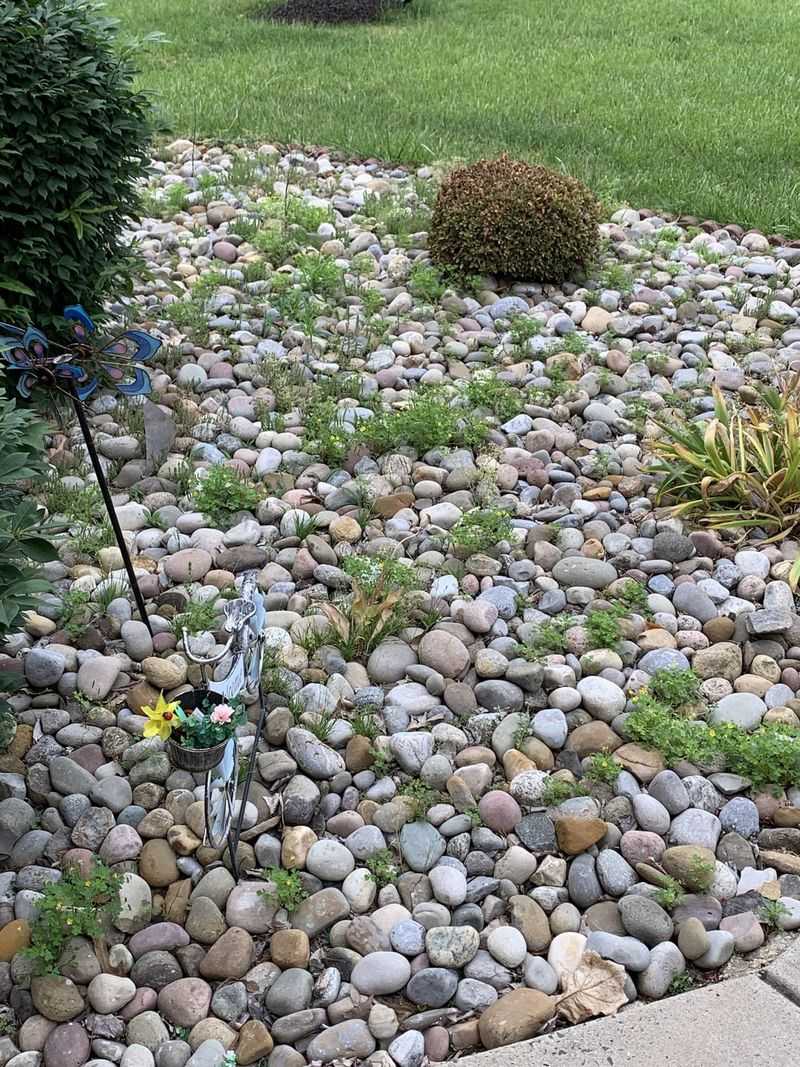 Skipping a Weed Barrier