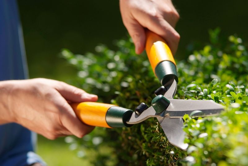 Ignoring Garden Tools Maintenance