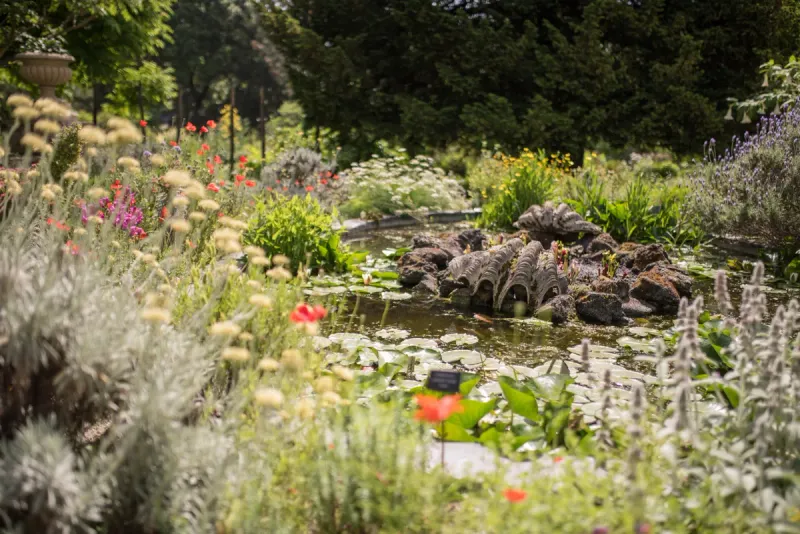 Ignoring Microclimates