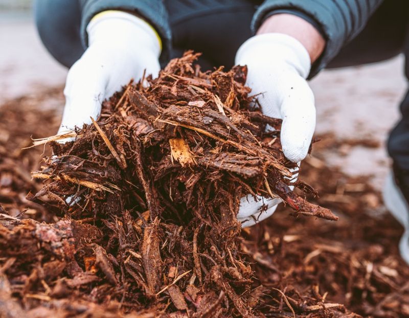 Ignoring Mulching Benefits