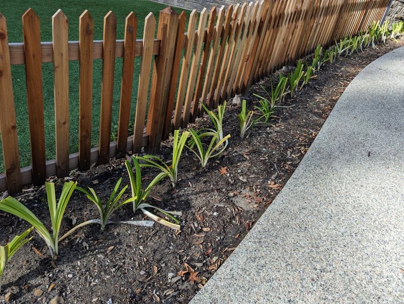 Neglecting Edging