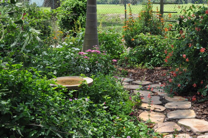 Ignoring Pathways and Walkways