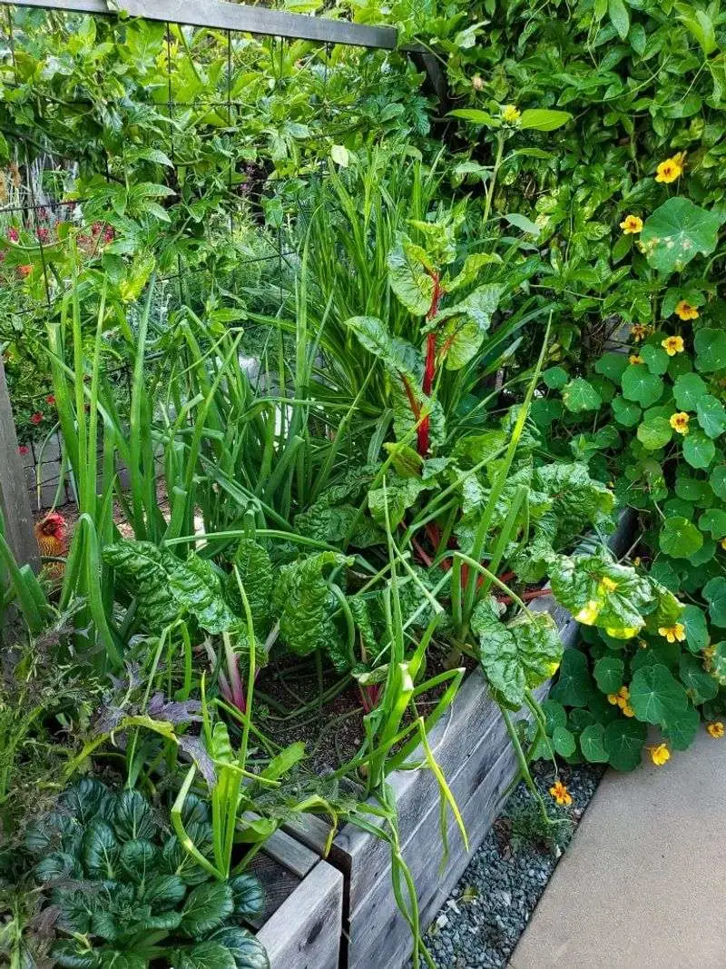 Ignoring Pest Management