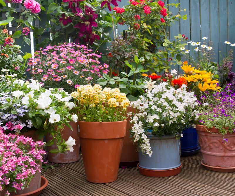 Ignoring Seasonal Changes