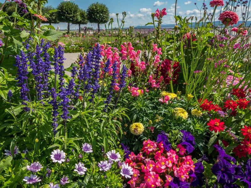 Ignoring Seasonal Planting