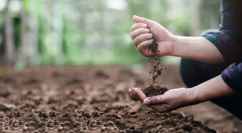Ignoring Soil Quality