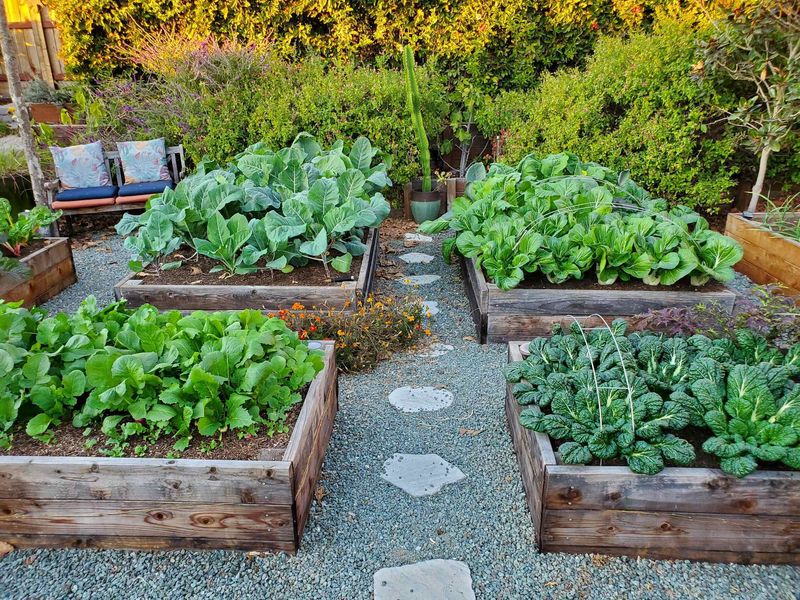 Ignoring Soil Quality