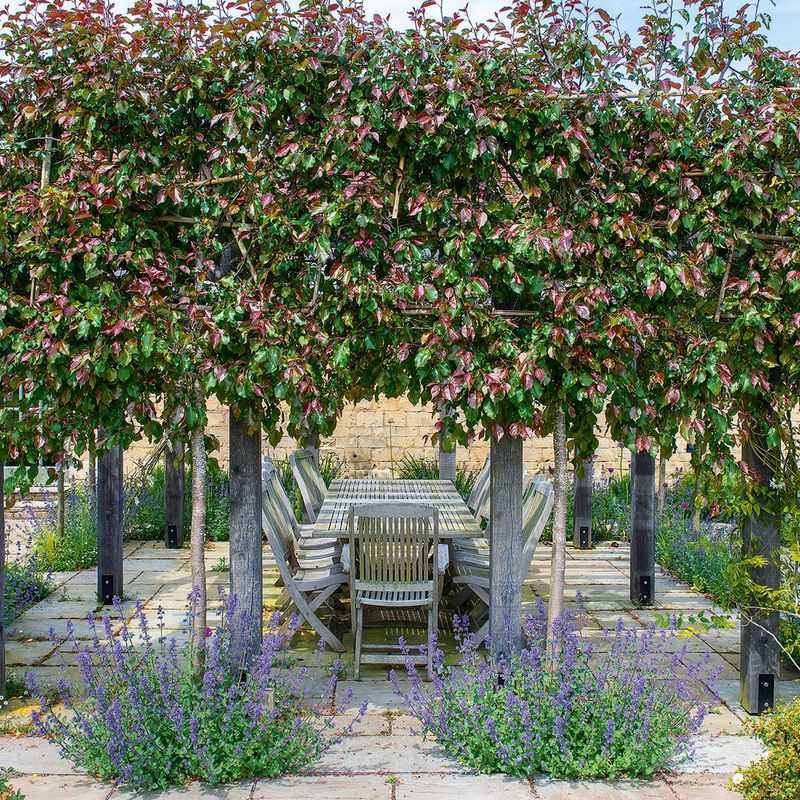 Implement Garden Zones