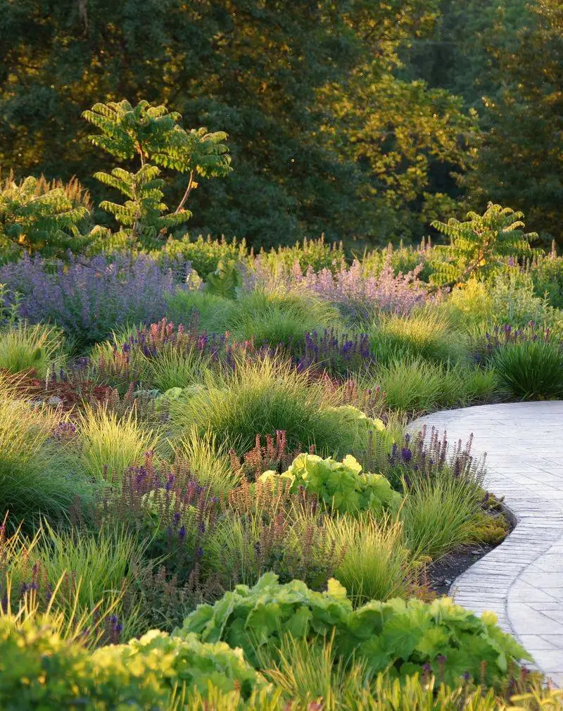 Implementing Ground Cover Plants