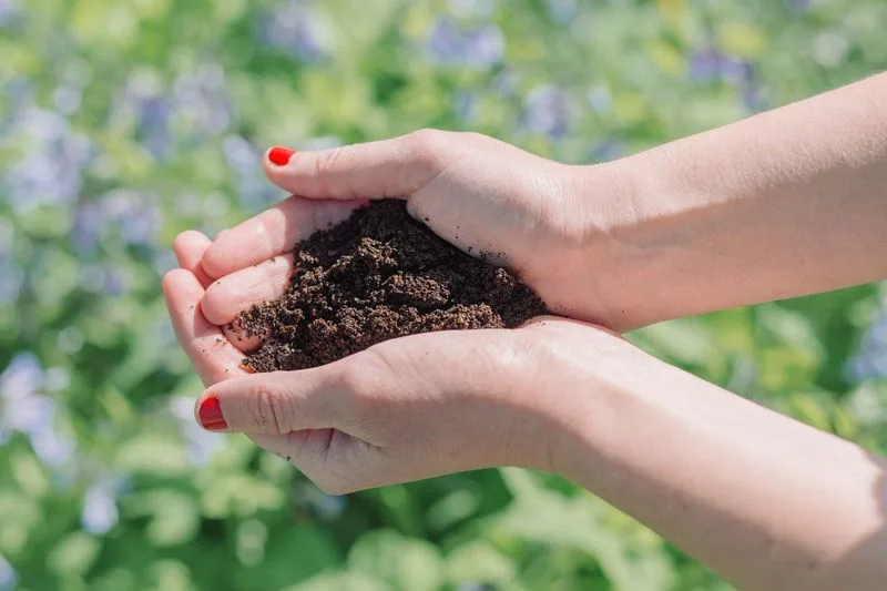 Improve Soil Drainage