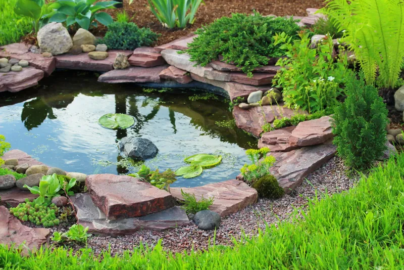 Include Water Features