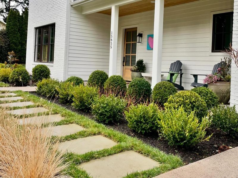 Incorporating Boxwood Shrubs