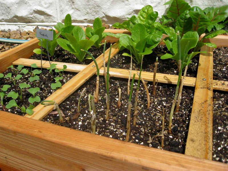 Irregular Soil pH Levels