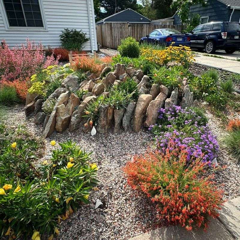 Tucking Plants Between Rock Crevices