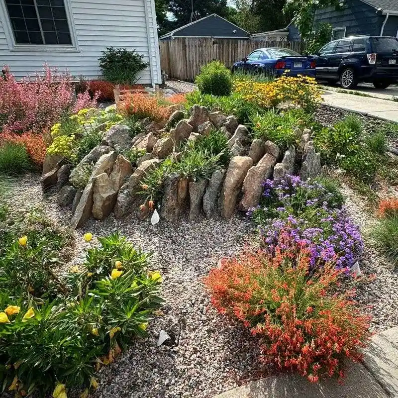 Tucking Plants Between Rock Crevices