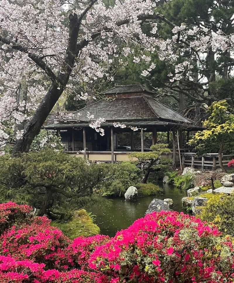 Japanese Tea Garden Spot