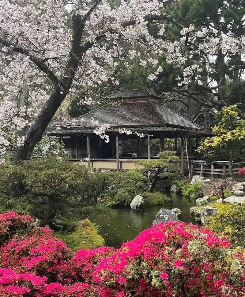 Japanese Tea Garden Spot