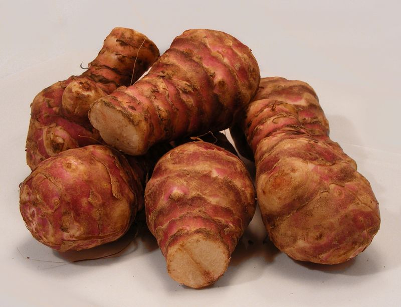 Jerusalem Artichoke