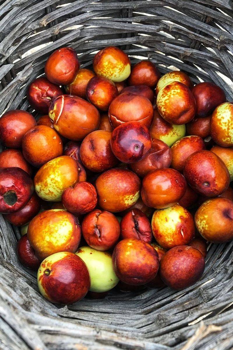 Jujube
