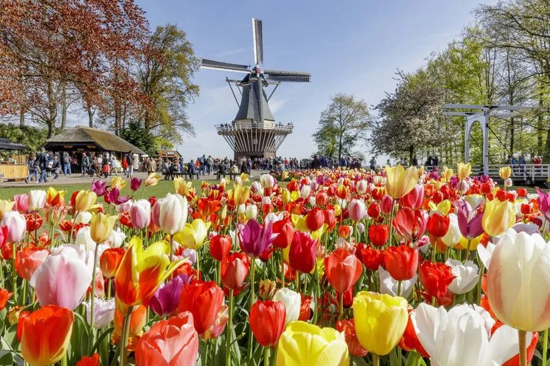 Keukenhof Gardens, Netherlands