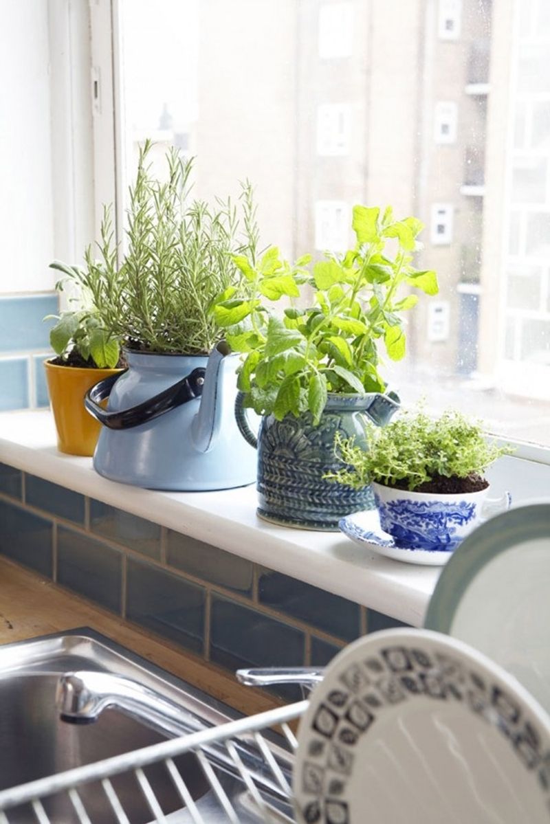 Kitchen Windowsill