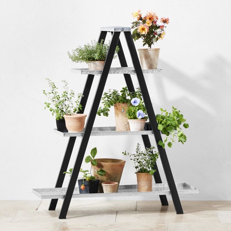 Ladder Plant Stand