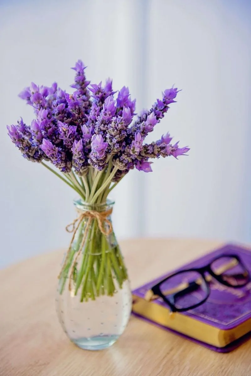 Lavender