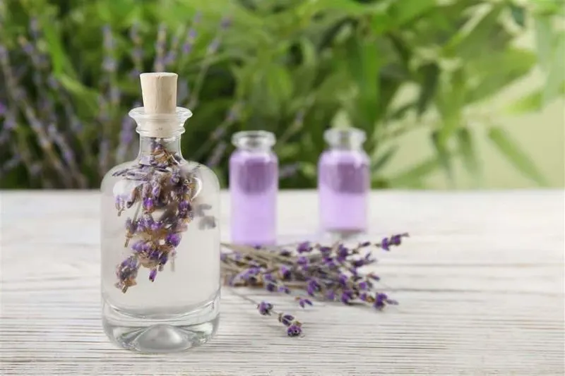 Lavender