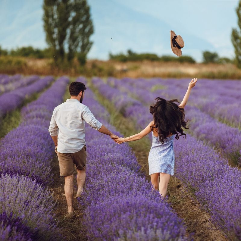 Lavender