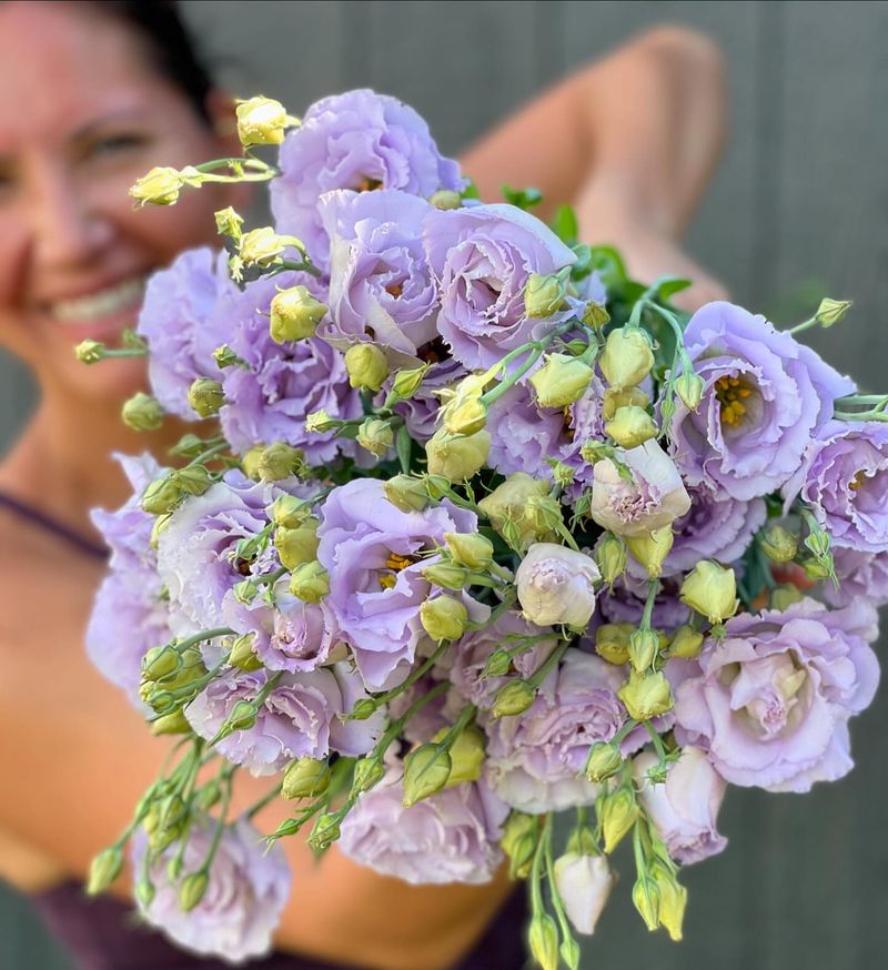 Lavender Bouquets