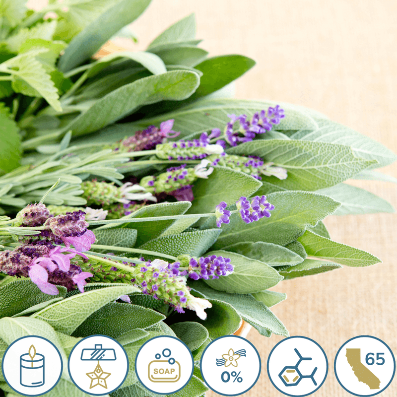 Lavender and Sage