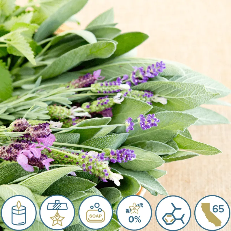 Lavender and Sage