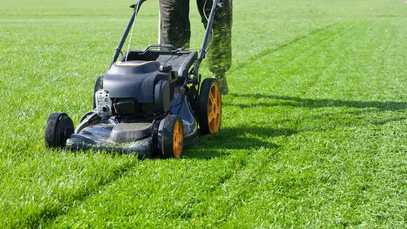 Lawn Mowing