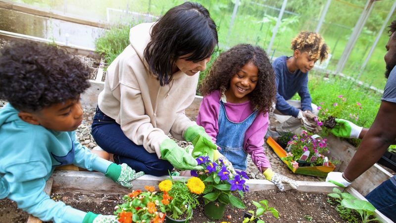 Learning and Growth
