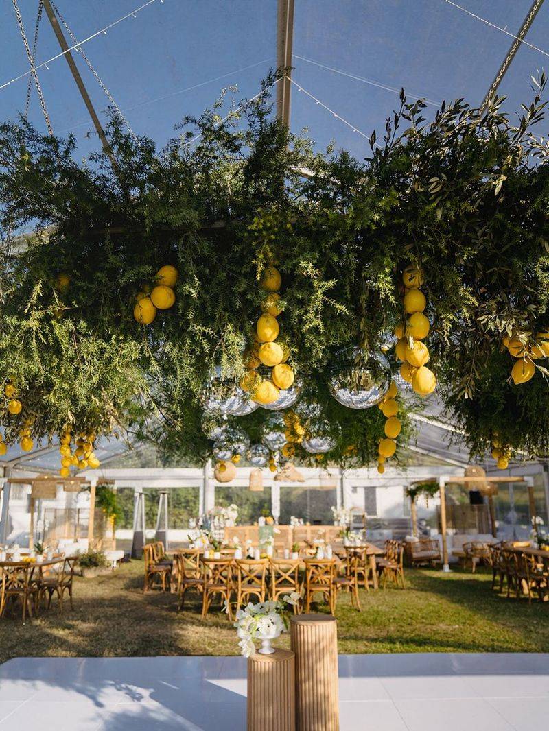 Lemon Tree