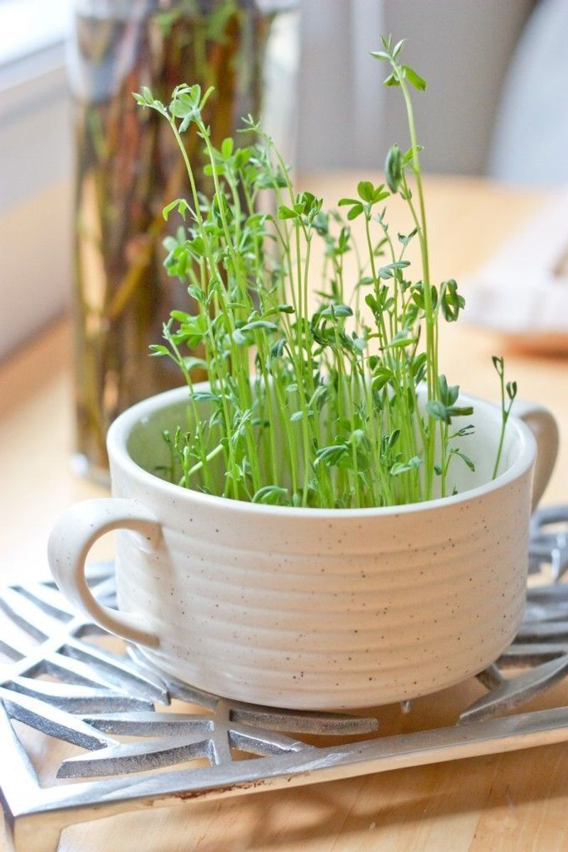 Microgreens