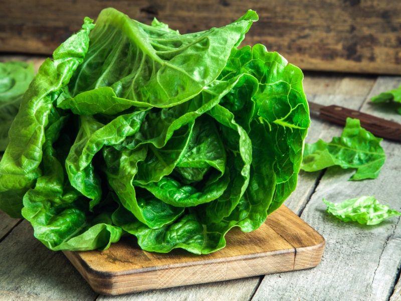 Lettuce