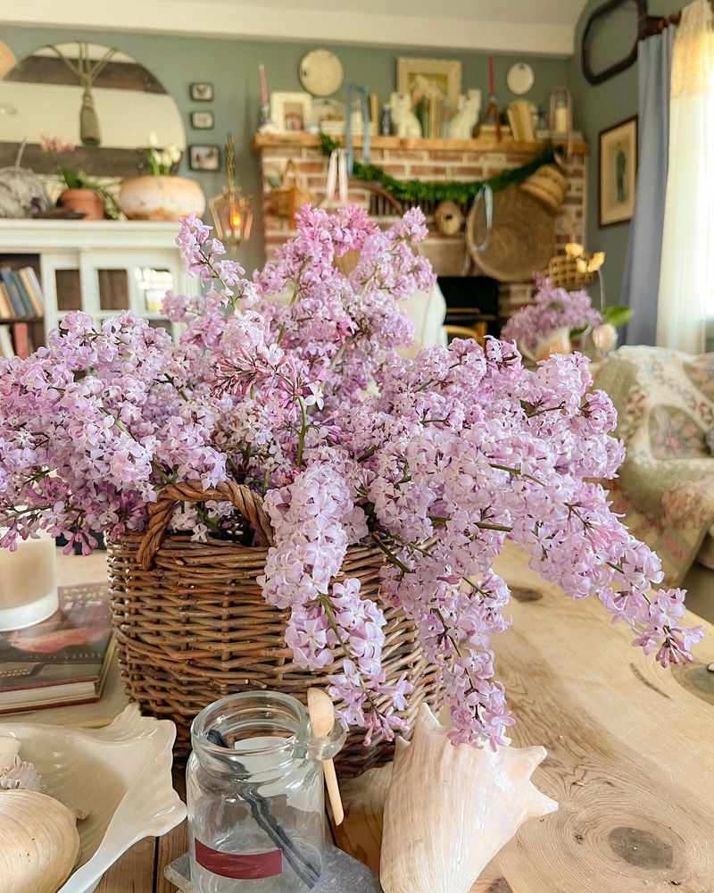Lilac