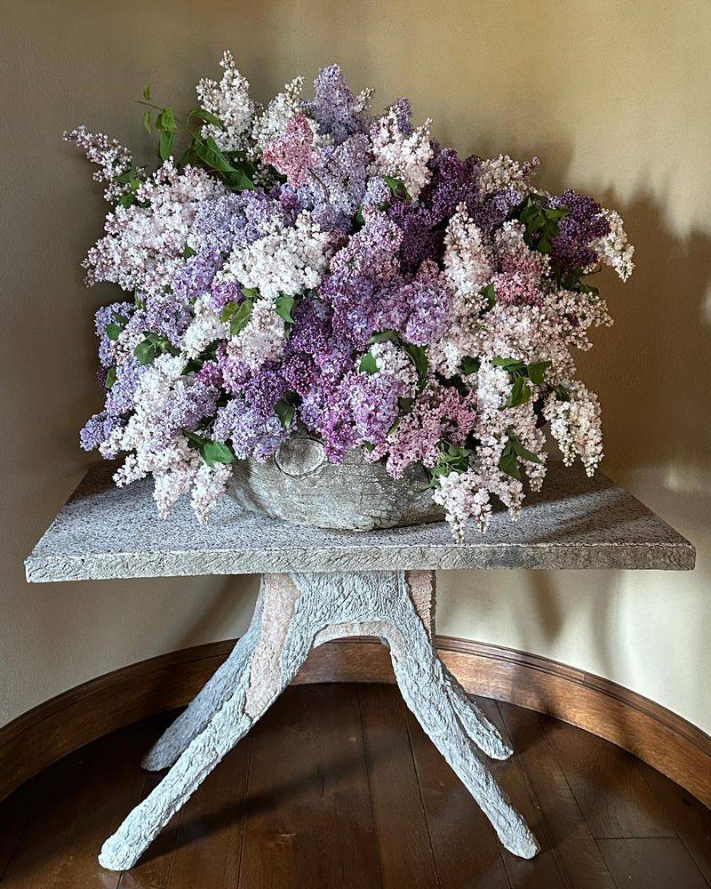 Lilac