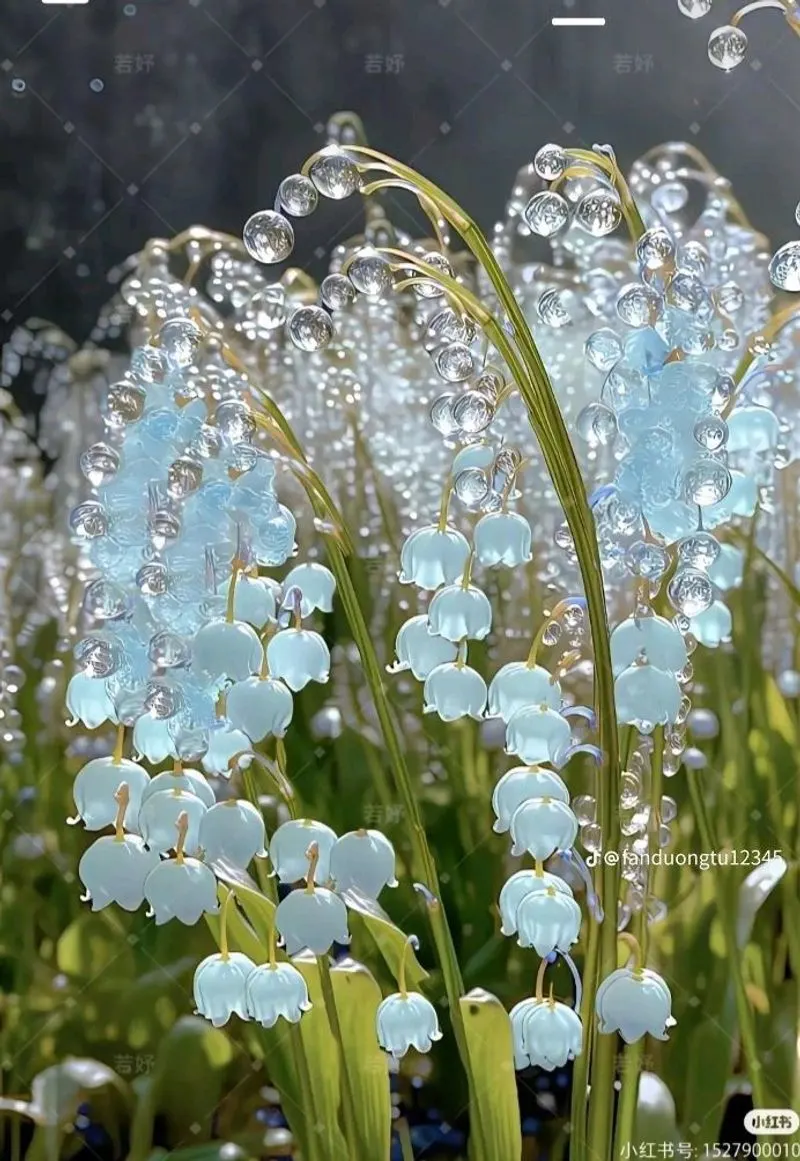 Lily of the Valley
