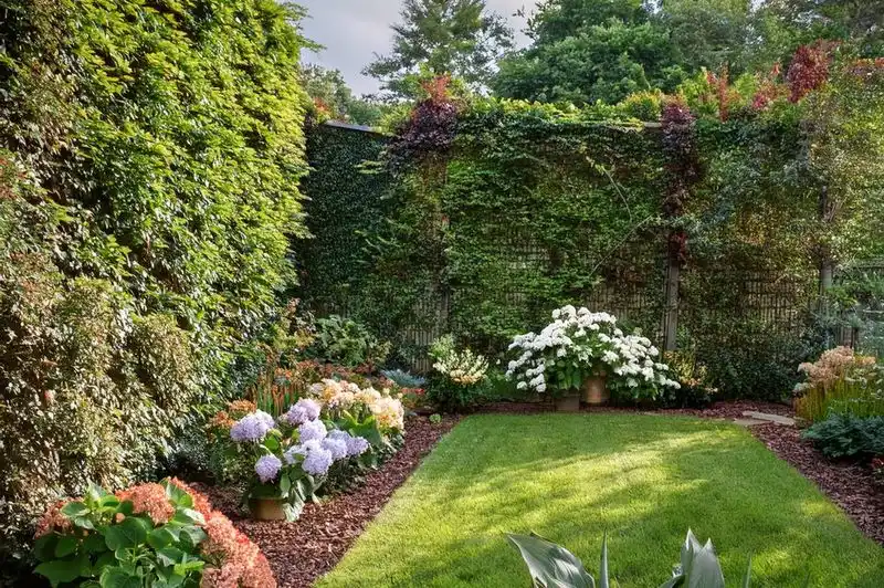 Living Privacy Screen