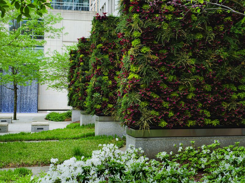 Living Walls