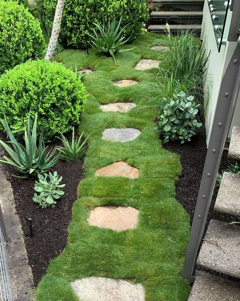 Low-Maintenance Lawns